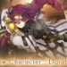 Dorothy dan Chapter Baru Act of Hatred Datang ke SINoALICE Global