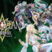 Square Enix dan tri-Ace pada akhirnya juga terpaksa untuk menutup server Star Ocean: Anamnesis di Jepang