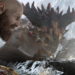 Akses preload untuk God of War PC akan mulai dibuka di Steam malam ini yang memungkinkan pemain mengunduh gamenya lebih dulu