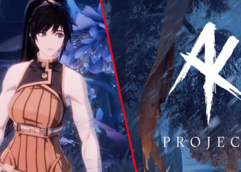Neowiz mengonfirmasi kalau Project BBQ kini dikhususkan sebagai game Dungeon Fighter Online baru yang mengusung gameplay soulslike