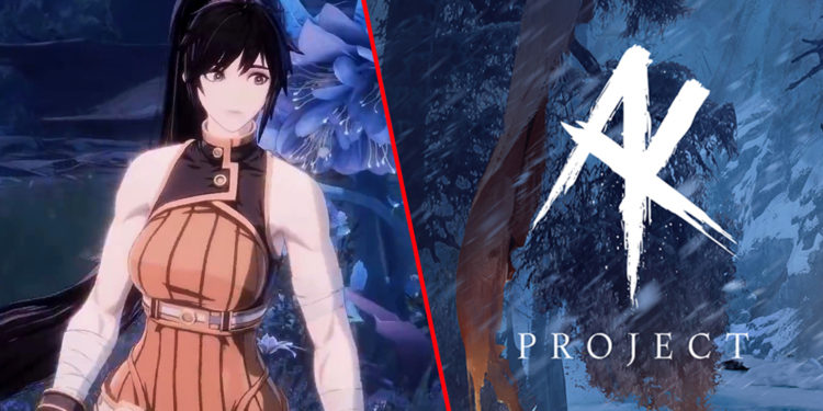 Neowiz mengonfirmasi kalau Project BBQ kini dikhususkan sebagai game Dungeon Fighter Online baru yang mengusung gameplay soulslike