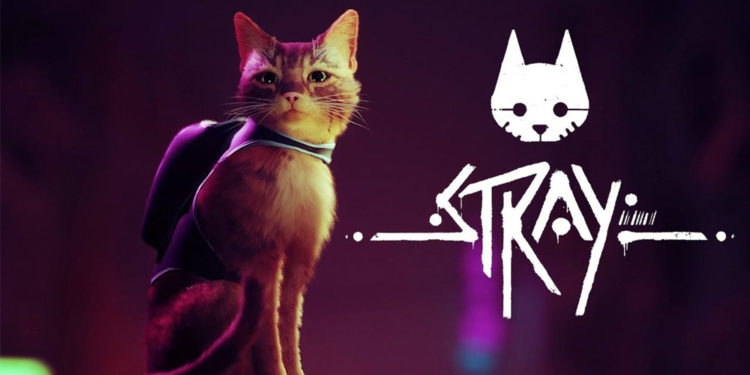 Tidak cuma rilis konsol saja, Stray juga bakal rilis di PC melalui Steam. Sebelum memainkannya, pastikan dulu spesifikasimu sanggup main.