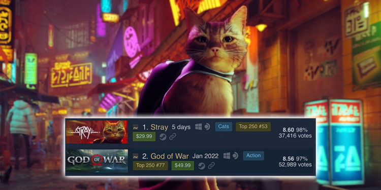 Baru-baru ini Stray telah memecahkan rekor sebagai game dengan rating tertinggi di Steam, mengalahkan nama besar seperti God of War.