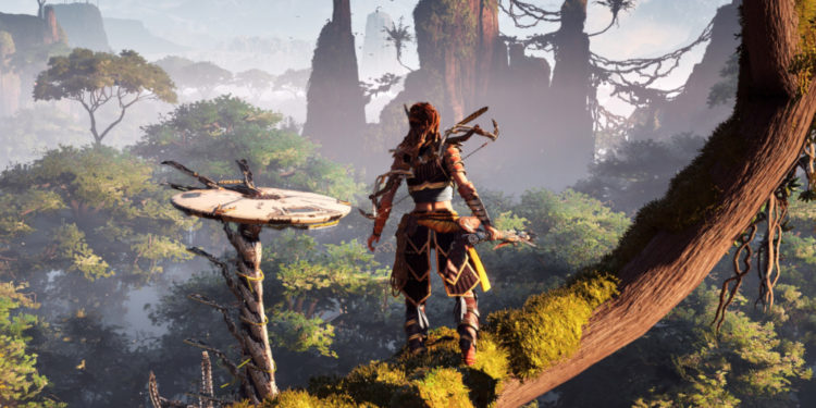 Media berita Korea Selatan MTN melaporkan bahwa Sony dan NCSoft sedang mengerjakan MMORPG yang berlatar di dunia Horizon