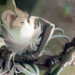 Adaptasi anime NieR Automata Ver 1.1a dari A-1 Pictures akhirnya sudah hampir rampung dan akan tayang mulai 7 Januari 2023