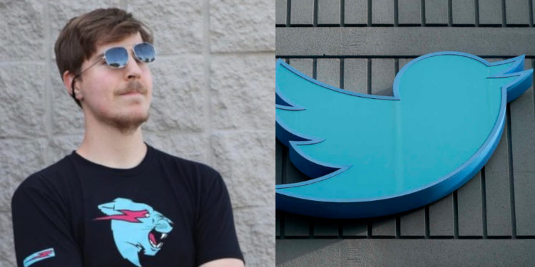 MrBeast menanyakan Elon Musk apakah dia bisa menjadi CEO Twitter dan mendapat jawaban kemungkinan dari Elo