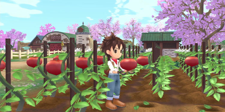 Marvelous dan XSEED akhirnya berbagi jadwal rilis untuk versi barat Story of Seasons: A Wonderful Life