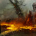 Blizzard merilis video Inside the Game pertama untuk Diablo IV yang memberi detail dibalilk pembuatan Sanctuary