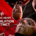 Mundfish dan 4Divinity mengumumkan Annihilation Instinct sebagai DLC pertama Atomic Heart yang membawa begitu banyak konten