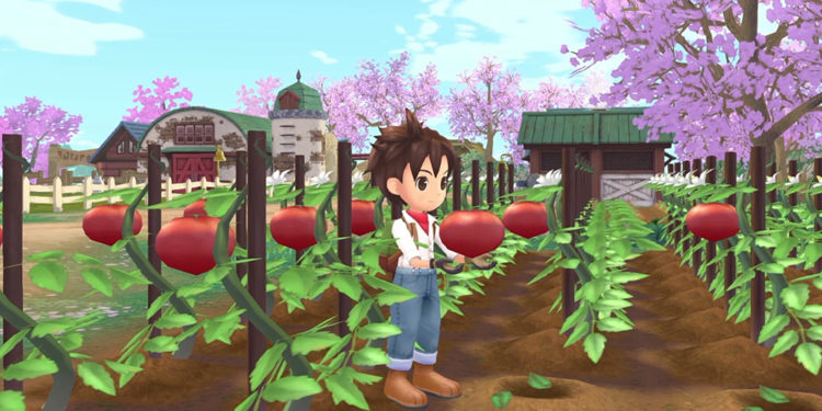 Pada wawancara kali ini kami sudah terlibat dalam diskusi singkat dengan produser dan director dibalik Story of Seasons: A Wonderful Life