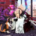 Fitur untuk mengelus hewan di Fate/Samurai Remnant ternyata punya manfaat lebih