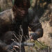 Konami memamerkan tampilan in-engine dari Metal Gear Solid Delta: Snake Eater yang hadir dengan grafis kelas atas