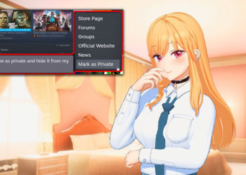 Valve sedang mengerjakan fitur baru yang memungkinkan kita untuk "menyembunyikan" game dari library sehingga friendlist tidak akan lihat.