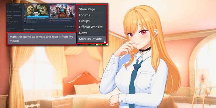 Valve sedang mengerjakan fitur baru yang memungkinkan kita untuk "menyembunyikan" game dari library sehingga friendlist tidak akan lihat.