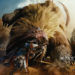 Capcom telah mengonfirmasi bahwa Monster Hunter Wilds akan mendukung crossplay di PlayStation 5, Xbox Series, dan PC melalui Steam.