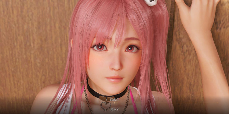Website resmi Venus Vacation PRISM: DEAD OR ALIVE Xtreme telah mendapat update baru mengenai ragam sistem dan fitur gameplay