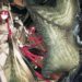 Artist Arknights Dipecat dari Hypergryph Karena Kasus Plagiarisme