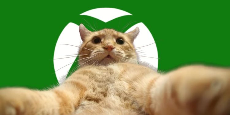 Fitur Sosial Xbox Akan Dikunci Jika Tak Verifikasi Usia di Inggris