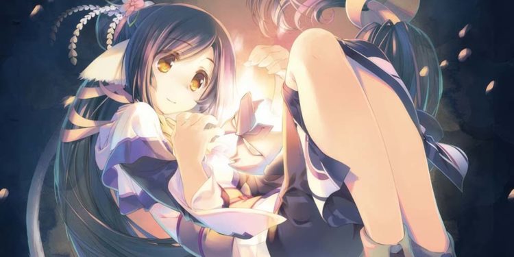 Tidak lama setelah akuisisinya atas Aquaplus, Yuke's berbagi alasan kenapa mereka menggaet studio visual novel populer tersebut