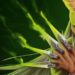 Slay the Spire 2 Tunda Early Access ke Maret 2026