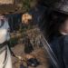 Impresi kami setelah menjajal Closed Beta Sword of Justice yang benar-benar terasa seperti open-world wuxia imersif dan penuh jiwa