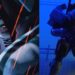 Bungie berbagi update lanjutan Marathon yang kini dipastikan rilis pada Maret 2026 dengan patokan harga USD 39.99