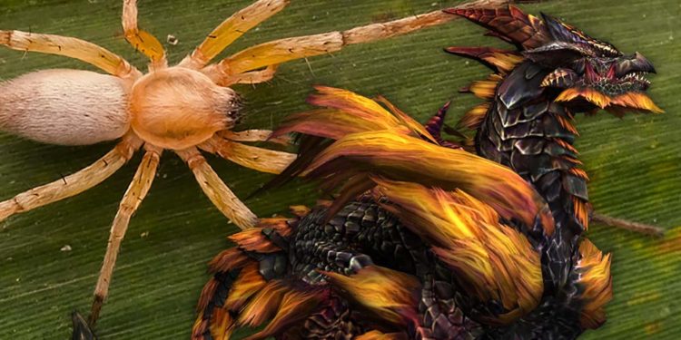 Tim peneliti Species Obscura dari Indonesia melepas penemuan spesies laba-laba baru dengan penamaan yang memiliki referensi Monster Hunter