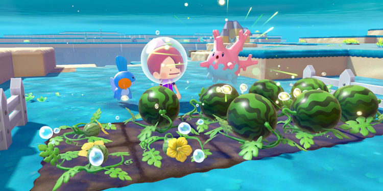 DLC expansion pertama untuk Pokémon Pokopia sudah direncanakan rilis pada 5 Agustus nanti bersamaan update version 2.0.0