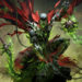 Blizzard baru saja mengumumkan kolaborasi besar antara Diablo Immortal dengan serial komik antihero populer Spawn