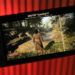 AMD ngumumin perluasan besar buat teknologi FSR 4.1 Upscaling berbasis machine learning ke lebih banyak perangkat AMD lain.